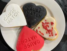 CauseMatch CauseMatch