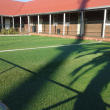 The Astro Turf Soccer Field