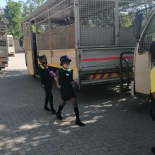 Grade 4 trip to Lion Park