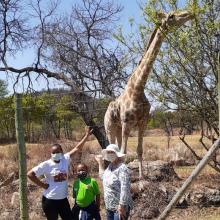 Grade 4 trip to Lion Park