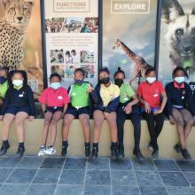 Grade 4 trip to Lion Park