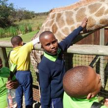 Grade 3 trip to the Lion and Safari Park