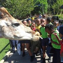 Grade 3 trip to the Lion and Safari Park