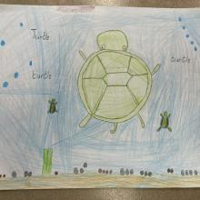 Creative Arts Grade 2