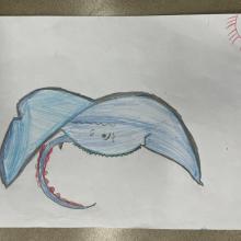 Creative Arts Grade 2