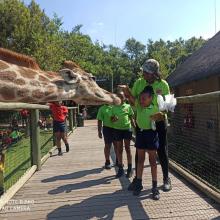 Grade 3 trip to the Lion and Safari Park