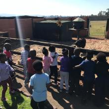 Grade R and RR TRIP TO MACS FARM