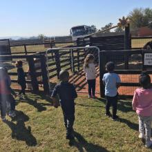 Grade R and RR TRIP TO MACS FARM