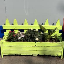 Spring day celebrations and palette competition