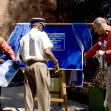 Unveiling the Plaque