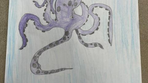 Creative Arts Grade 2