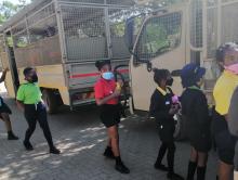 Grade 4 trip to Lion Park