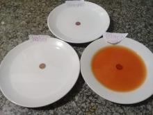 Grade 5 practical task