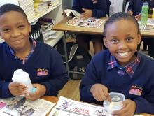 Grade 5 Natural Science and Technology