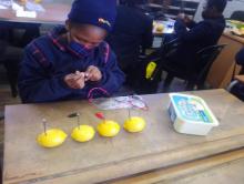 Grade 6 Science Project