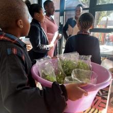 Grade 4A selling vegetables from their Perfect Pallet garden Grade 4A selling vegetables from their Perfect Pallet garden