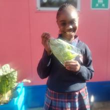 Grade 4A selling vegetables from their Perfect Pallet garden Grade 4A selling vegetables from their Perfect Pallet garden