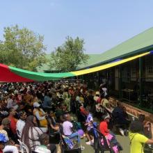 Roborific Spring Day