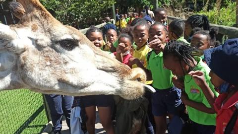 Grade 3 trip to the Lion and Safari Park