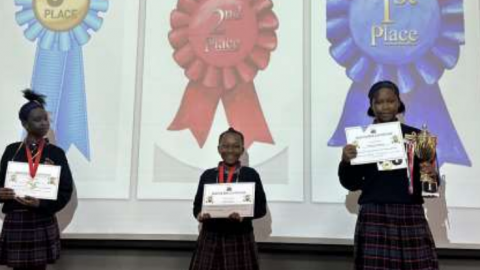 The Triumph of Spelling Bee Champions